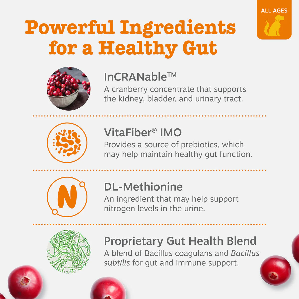 Stay Green Bites™ for Dogs