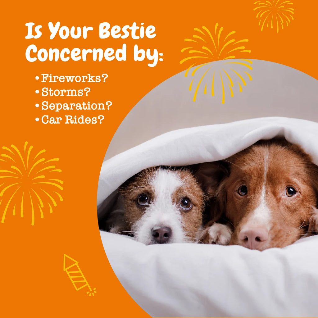 Calming Bites™ for Dogs