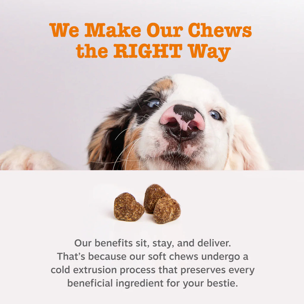 Allergy & Immune Mini Bites for Small Dogs