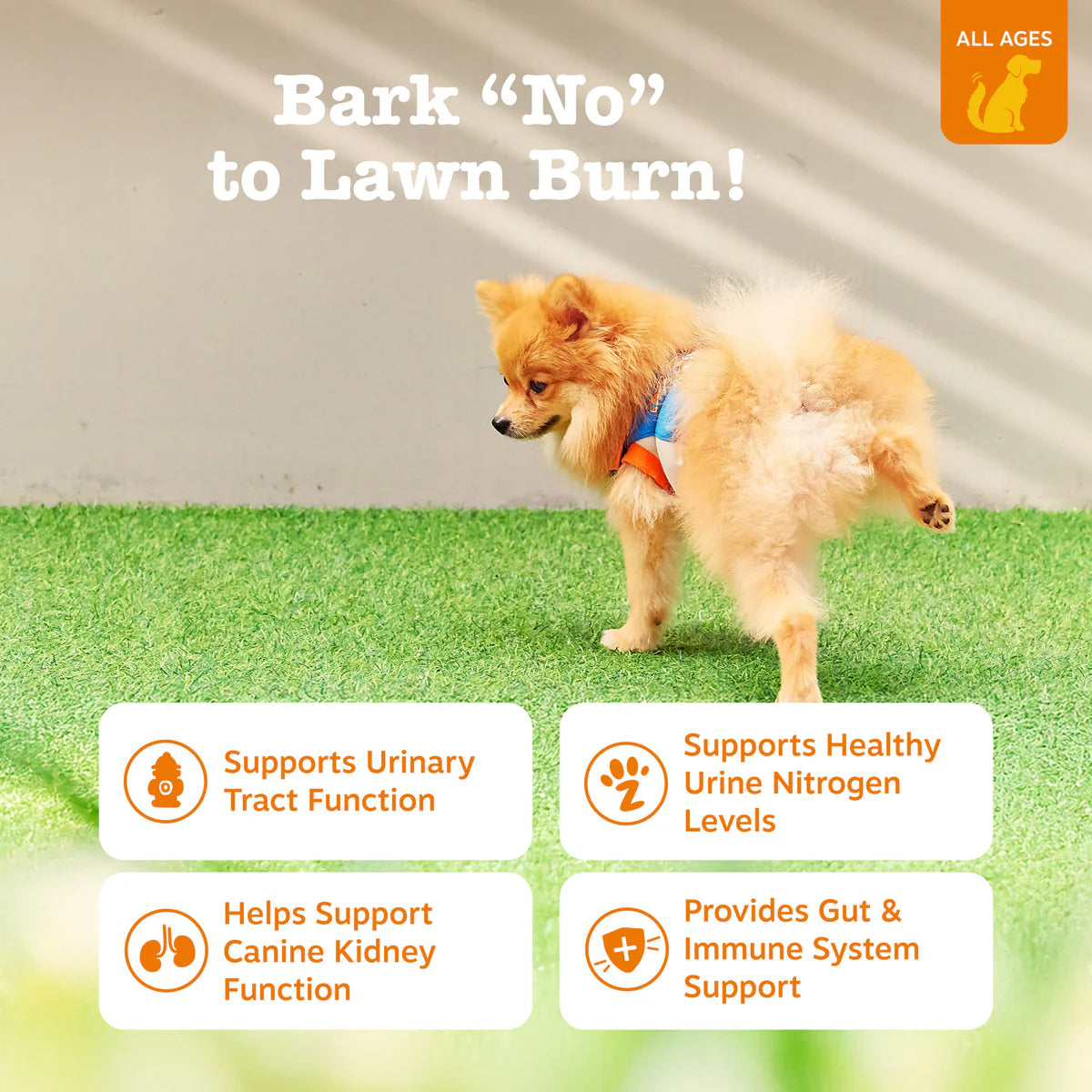 Stay Green Bites™ for Dogs