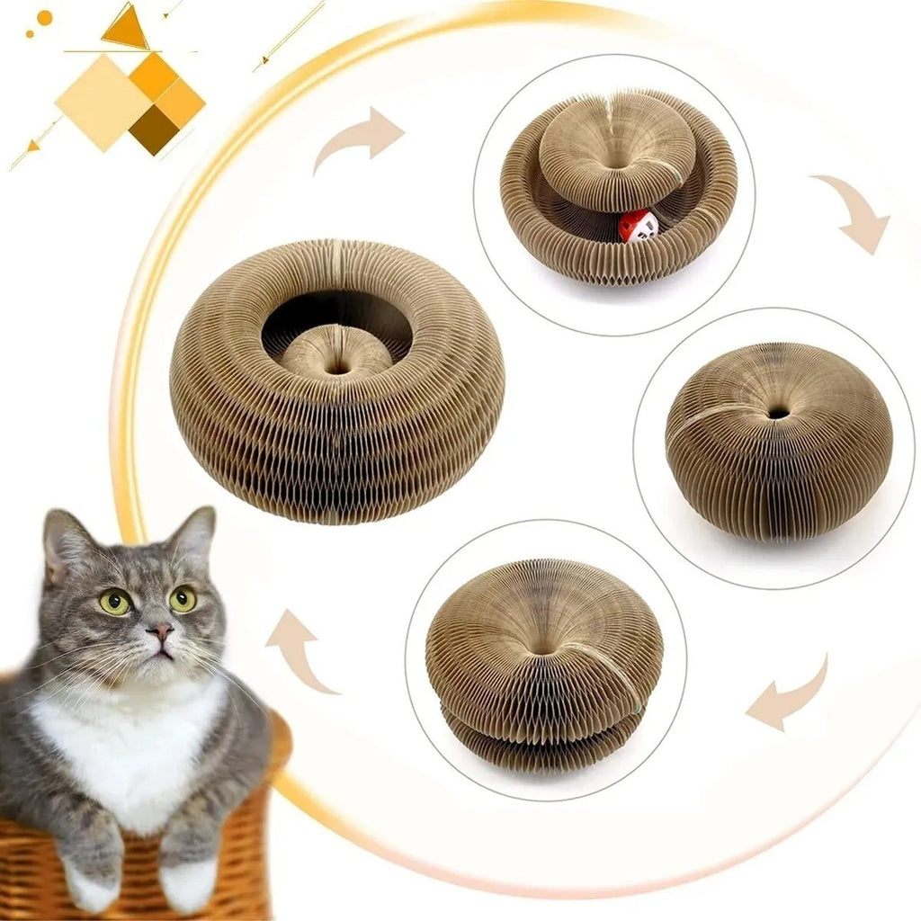 Accordion Magic Organ Cat Scratching Board Toy Kitty Kurlz Ball Scratch Pad USA