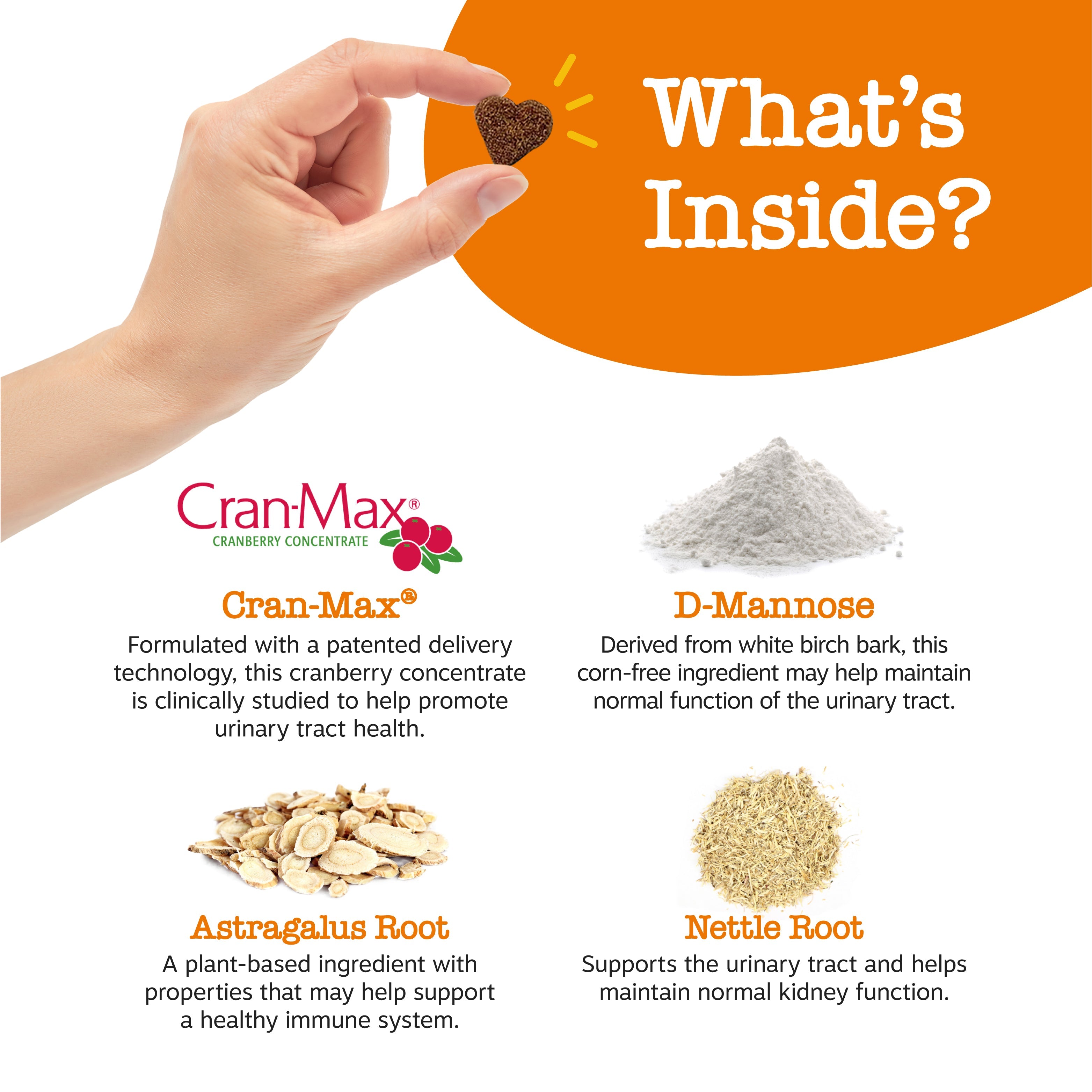 Urinary Tract Bites for Dogs